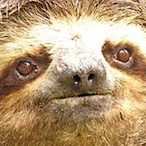 Float me in's Avatar'