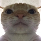 YungSpoons's Avatar'