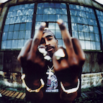 KnZzO...'s Avatar'