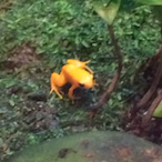 LilSparky405's Avatar'