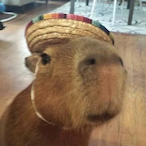 MouZynn's Avatar'