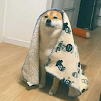 JhonnyDontDie's Avatar