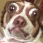 takshow's Avatar'
