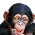 llMonkeyGVSll's Avatar'