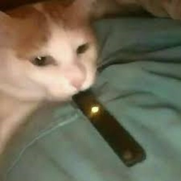 lIIllllIIIlllIl