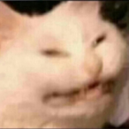 B00FED's Avatar'