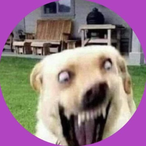 UomoPiranha's Avatar'