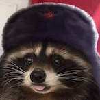 Soviet-Raccoons's Avatar'