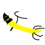 fihs5172's Avatar'