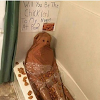 temp-765384's Avatar'