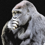 Iess horror's Avatar'