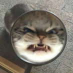 FlappySpookster's Avatar