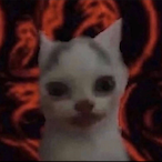 Migloco's Avatar'