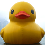 LeDuck_'s Avatar'
