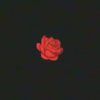 versachezs's Avatar'