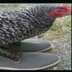 FloralGreen-'s Avatar'