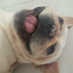 xtrixo's Avatar'