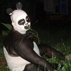 Mikehunt689's Avatar'