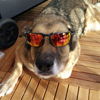 RealBadKarma's Avatar