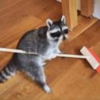 sparkyfelix's Avatar'