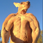 poulloui.RTDD's Avatar'