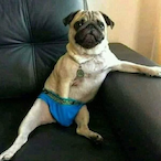 sign ur elo's Avatar'