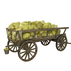 cabbagecarrage's Avatar'