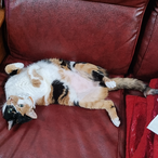 Dkzinnnfps's Avatar'