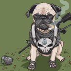 Battle-Pug's Avatar