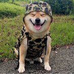 EvokedLew's Avatar'