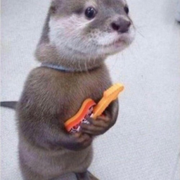 LumpChin