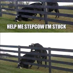 HelpMeStefBro's Avatar'