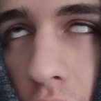 LatestSeal6160's Avatar'