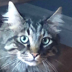 TacoTable_'s Avatar'