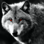 OliverQueen73's Avatar'