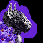 Violet_Burn's Avatar'