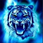 modritigrcz's Avatar'