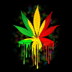 xcloud420x's Avatar'