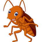 SejaGentil's Avatar'