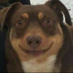 B_gray2906's Avatar'