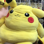 Thiccachu..'s Avatar'