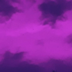 blxqty's Avatar'
