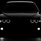 e39_Laxy's Avatar