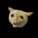 CheekyNFA's Avatar'
