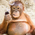 Gregger6915's Avatar'