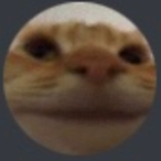 Ralactix's Avatar'