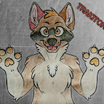 Trakitor1's Avatar'