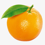 napodilla's Avatar'