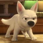 Bolt_super.cao's Avatar'