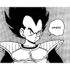vVEGETA.'s Avatar'